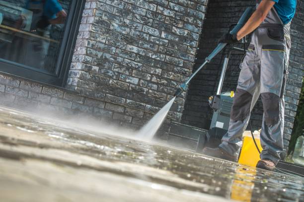 Best Gutter Cleaning and Brightening in El Jon, CA